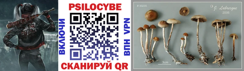 Псилоцибиновые грибы прущие грибы Дмитровск